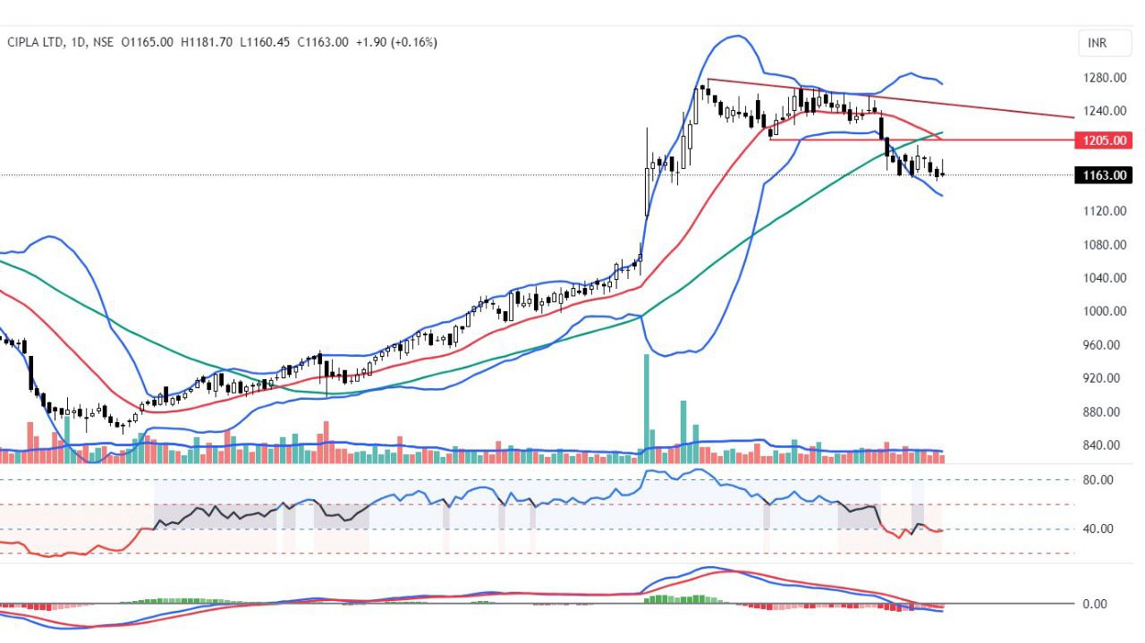 cipla chart