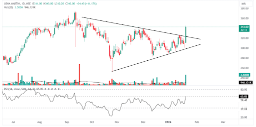 Daily chart of Usha Martin