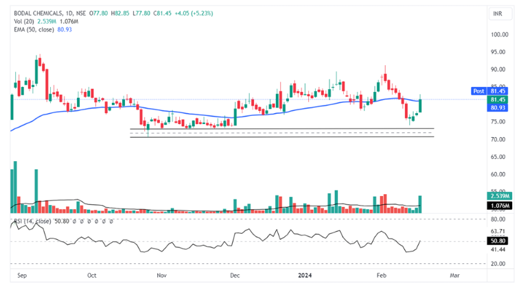 boddal chemical share price